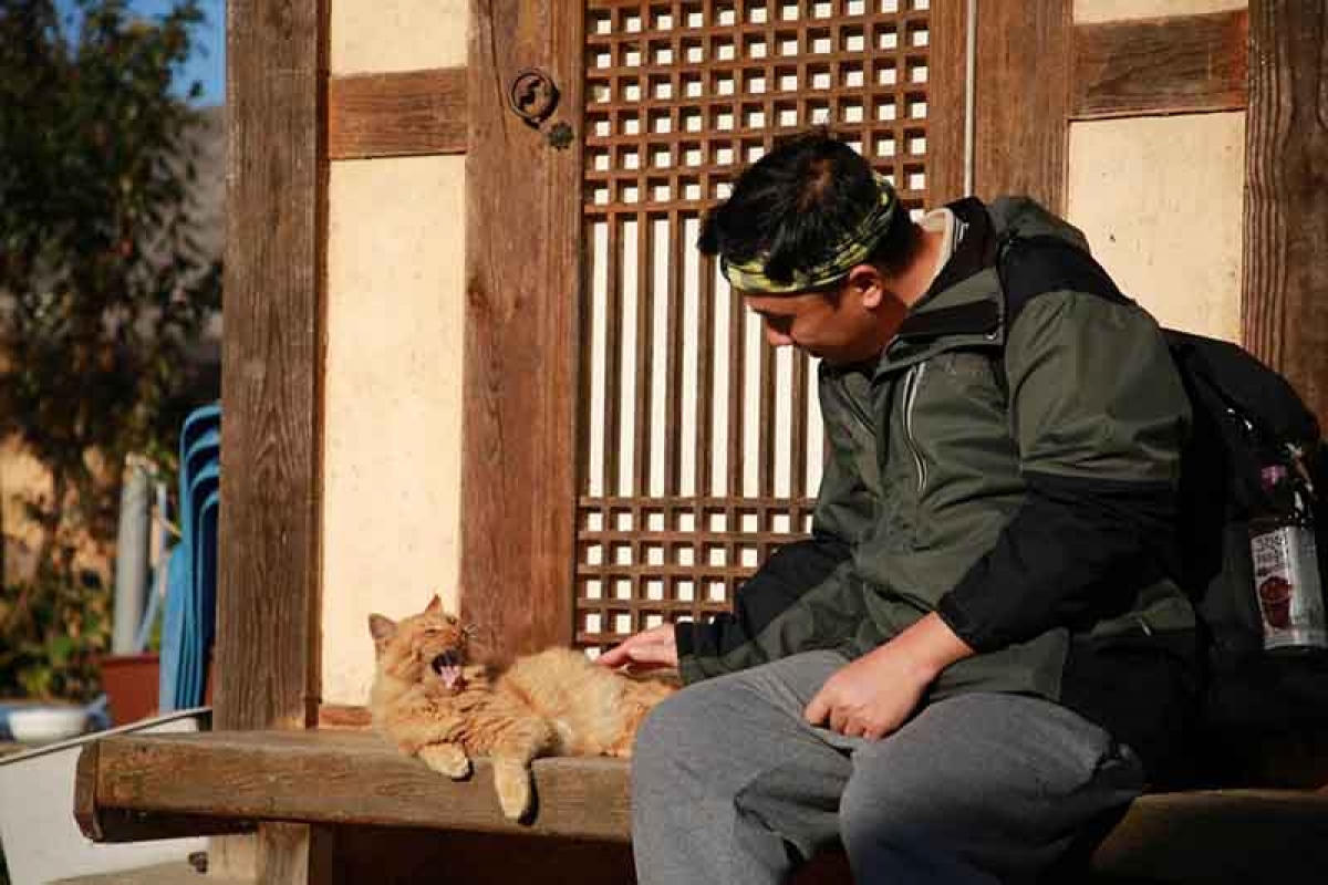 Yangdong đã thu hút nhiều du khách ghé thăm sau khi được công nhận là Di sản văn hóa thế giới vào năm 2010. Ảnh: Nguyễn Thanh Tuấn