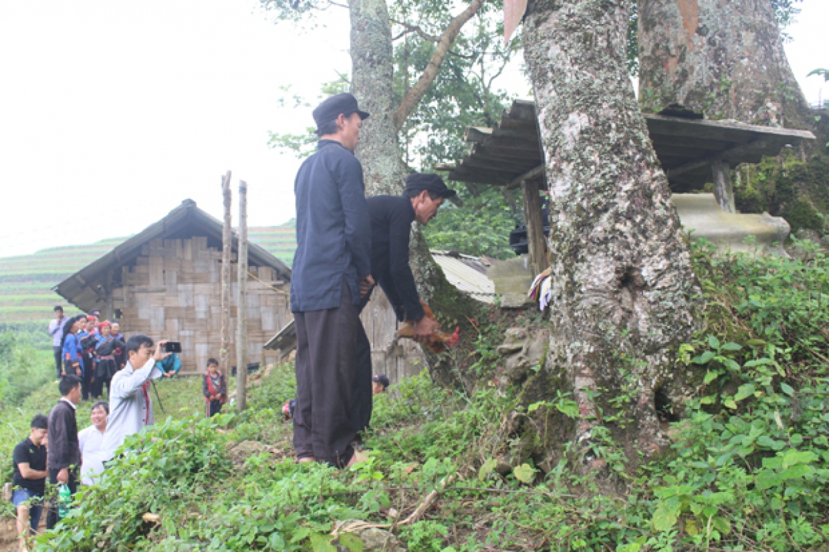 Nghi lễ cúng Thành hoàng của người Cờ Lao xã Túng Sán. Nguồn ảnh: Nguyễn Phương - Báo Hà Giang