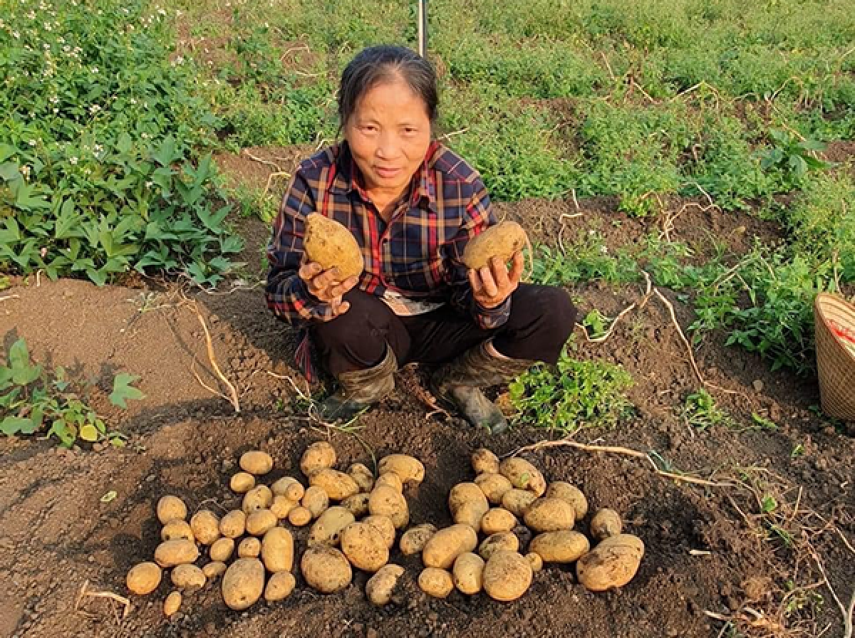 Người nông dân tại Sơn La được vay vốn ưu đãi để phát triển sản xuất nông nghiệp. Ảnh: Phương Anh 