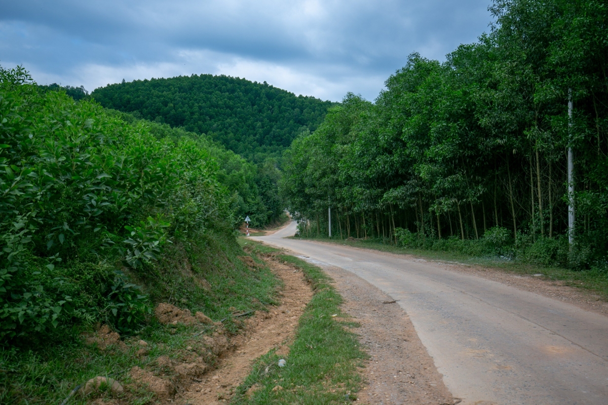 Xã Đạp Thanh có 9000 héc ta đất để phát triển lâm nghiệp, đặc biệt là phát triển cây gỗ lớn, cây bản địa và cây dược liệu. 