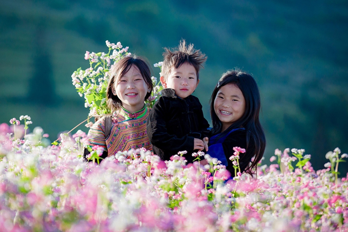 Lễ hội tam giác mạch vào dịp cuối năm được tổ chức hàng năm trên cao nguyên đá Hà Giang nhằm tôn vinh vẻ đẹp của loài hoa đặc trưng vùng núi cao và lan tỏa những nét đặc sắc văn hóa của đồng bào dân tộc Mông.