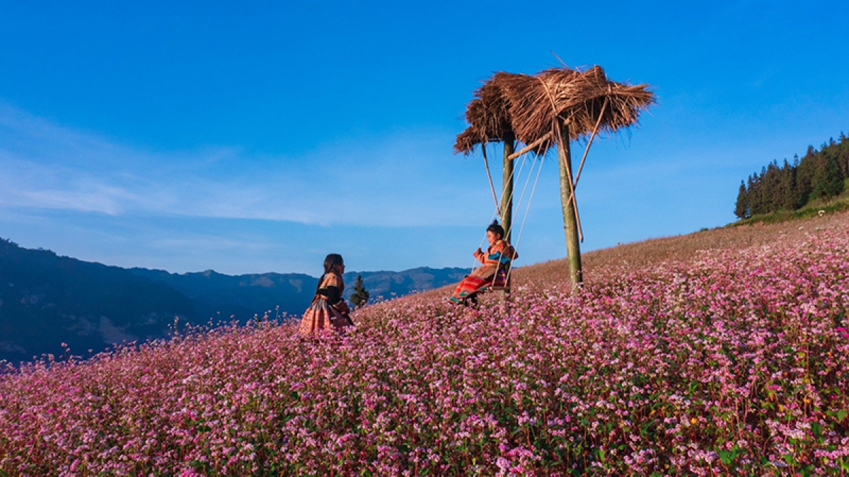 Hình ảnh các em nhỏ người H'Mông chơi đùa bên thung lũng hoa tam giác mạch.