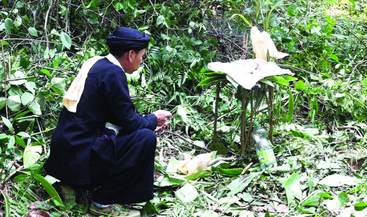 Thầy mo làm lễ cúng tế tại khu rừng thiêng. Ảnh: Cao Bằng Online