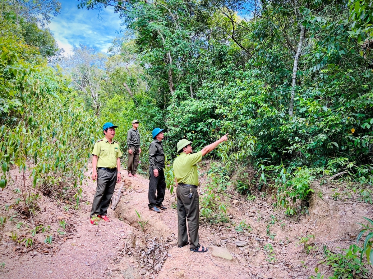 Lực lượng Kiểm lâm và Ban Quản lý rừng phòng hộ Quảng Trạch
thường xuyên đi kiểm tra hiện trạng của rừng