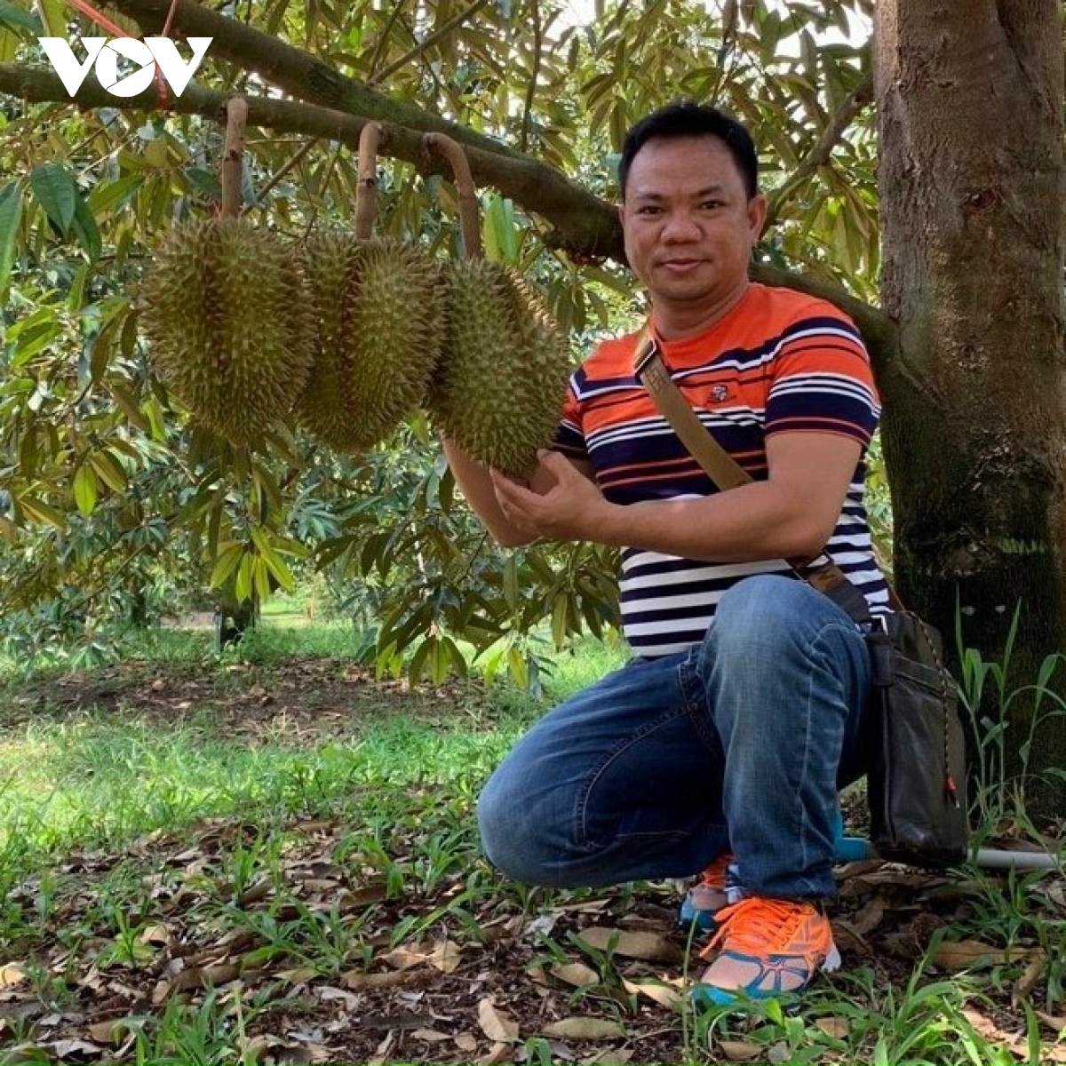 Ong Nguyễn A Vùng – Yam ndok Công ty Xuất nhập khẩu pablei salih Toàn Thắng