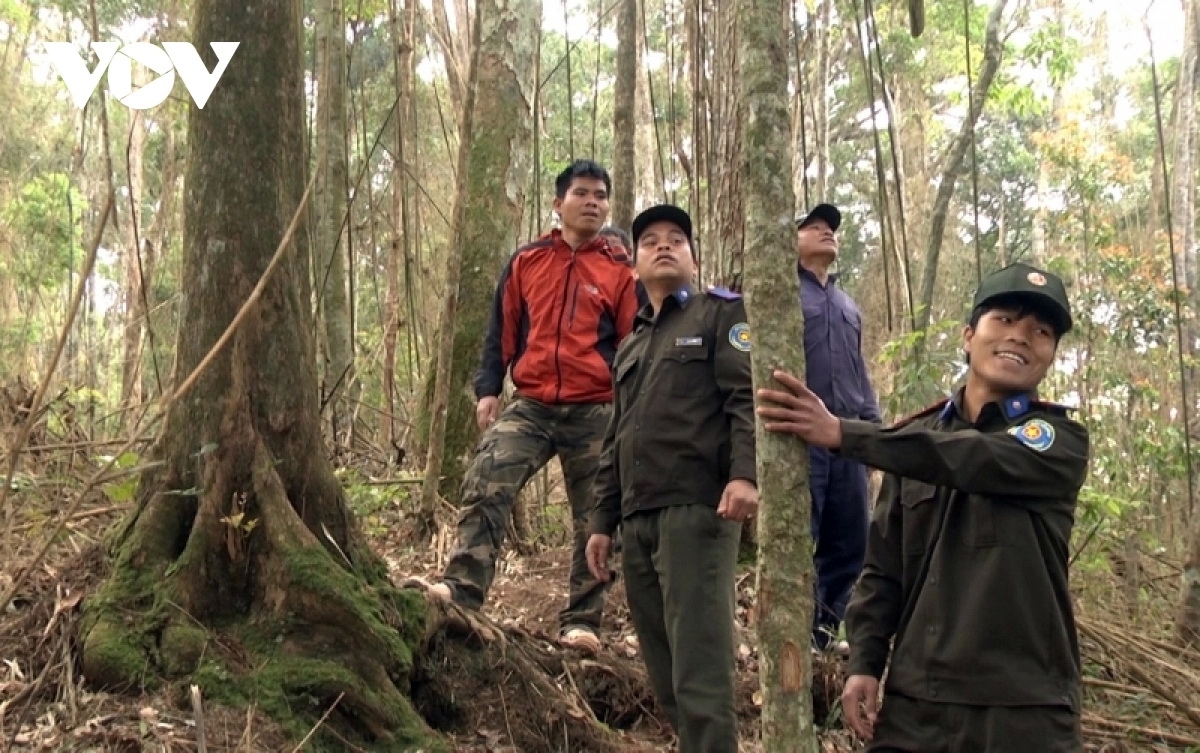 Lực lượng bảo vệ rừng cộng đồng tham gia tuần tra diện tích rừng nhận giao khoán.