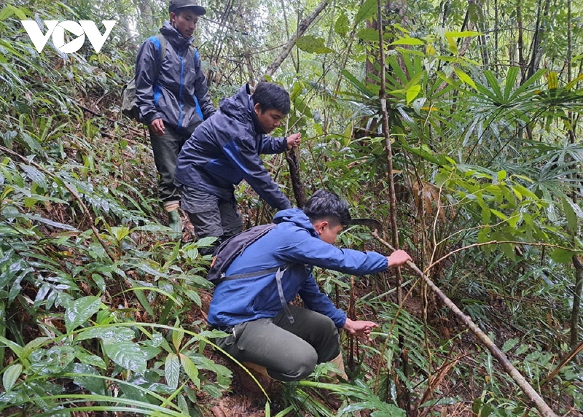 Tết trong rừng, các thành viên trong đội tuần tra vẫn miệt mài với công việc như ngày bình thường.