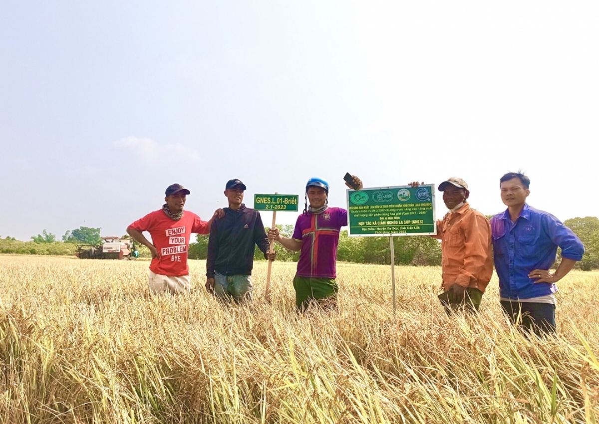 Báu lĕm Briêt hưh cơ dêi Khu pêi cheăng tơrŭm Kơdroh kơtiê Ea Súp châ khu mơdró kâ kok roê ing rôh ki nếo mơdâ pêt