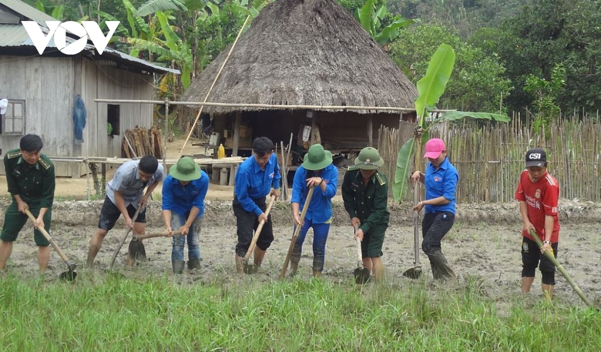 Biên phòng tỉnh Quảng Nam hướng dẫn đồng bào vùng biên cách làm lúa nước.