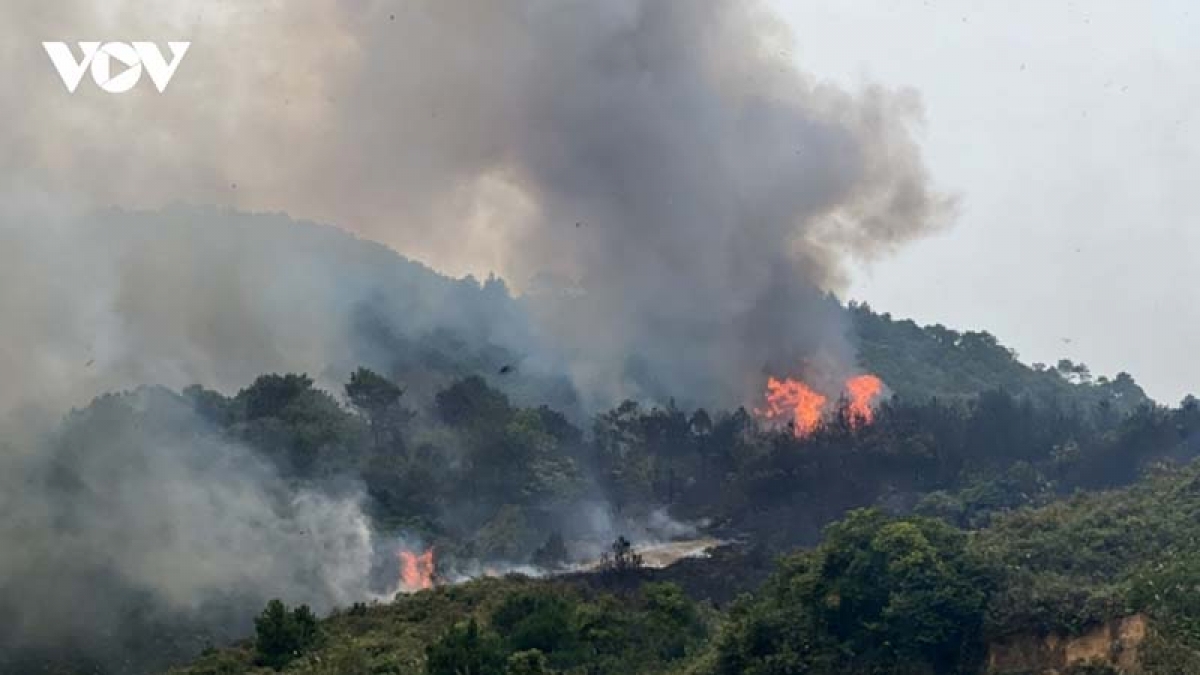 Vụ cháy rừng ở Lào Cai hồi đầu tháng 2 gây thiệt hại không nhỏ
