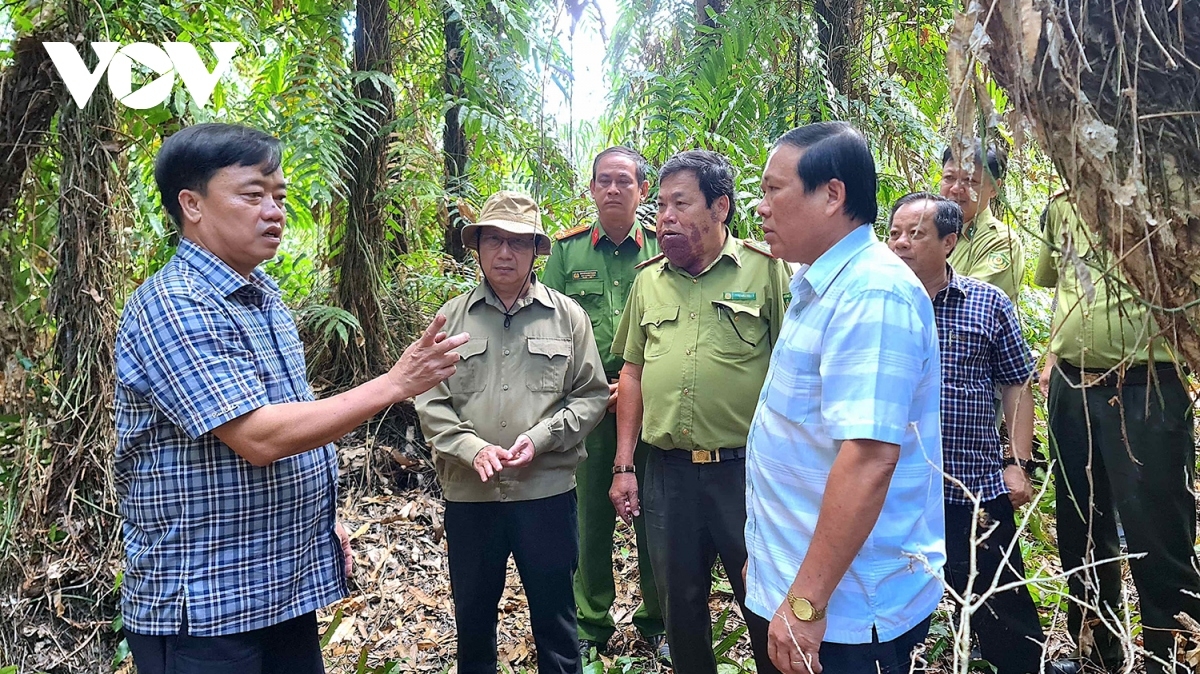 Ông Huỳnh Quốc Việt Chủ tịch UBND tỉnh Cà Mau (ngoài cùng, bên trái) kiểm tra PCCCR trong lâm phần rừng U Minh hạ