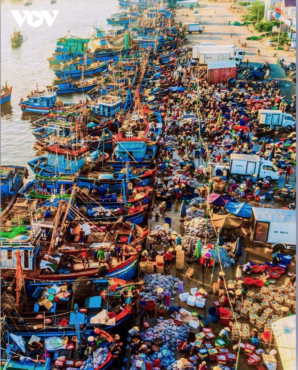 Nhộn nhịp chợ cá Sa Huỳnh vào buổi sớm khi những đoàn tàu trở về.