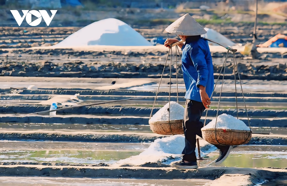 Sa Huỳnh có làng Tân Diêm nổi tiếng với nghề làm muối truyền thống đã đi vào câu ca dao “Nặng tình hạt muối Sa Huỳnh/ Rau thơm Trà Quế đượm tình bữa trưa”.