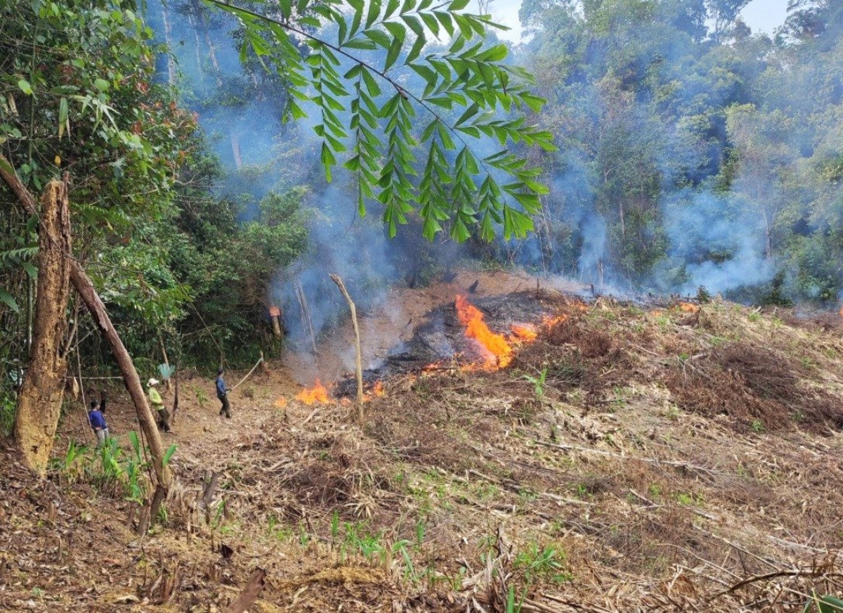 Việc đốt thực bì cần được kiểm soát chặt chẽ, thậm chí là tạm dừng khi có nguy cơ gây cháy rừng.