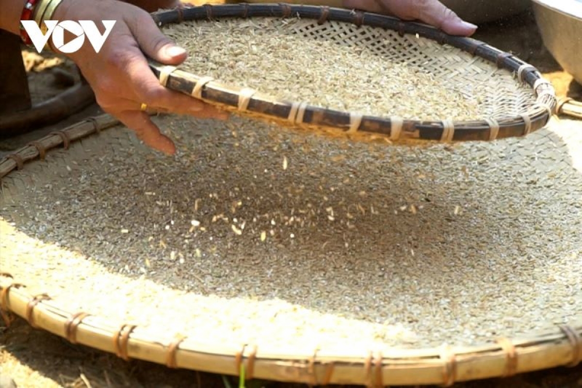 Từ đây những hạt gạo trắng ngần thơm ngon được tạo ra để phục vụ cho cuộc sống của người dân