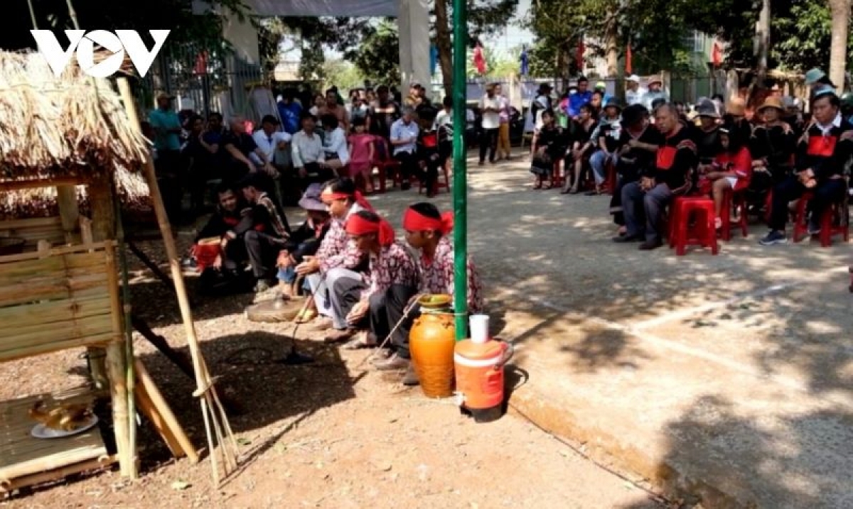 Lễ cúng cầu mưa được thực hiện tại sân nhà cộng đồng buôn Ky, thành phố Buôn Ma Thuột, Đắk Lắk