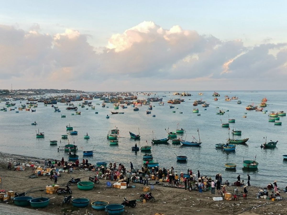 Một góc chợ cá làng chài Mũi Né buổi sáng sớm.