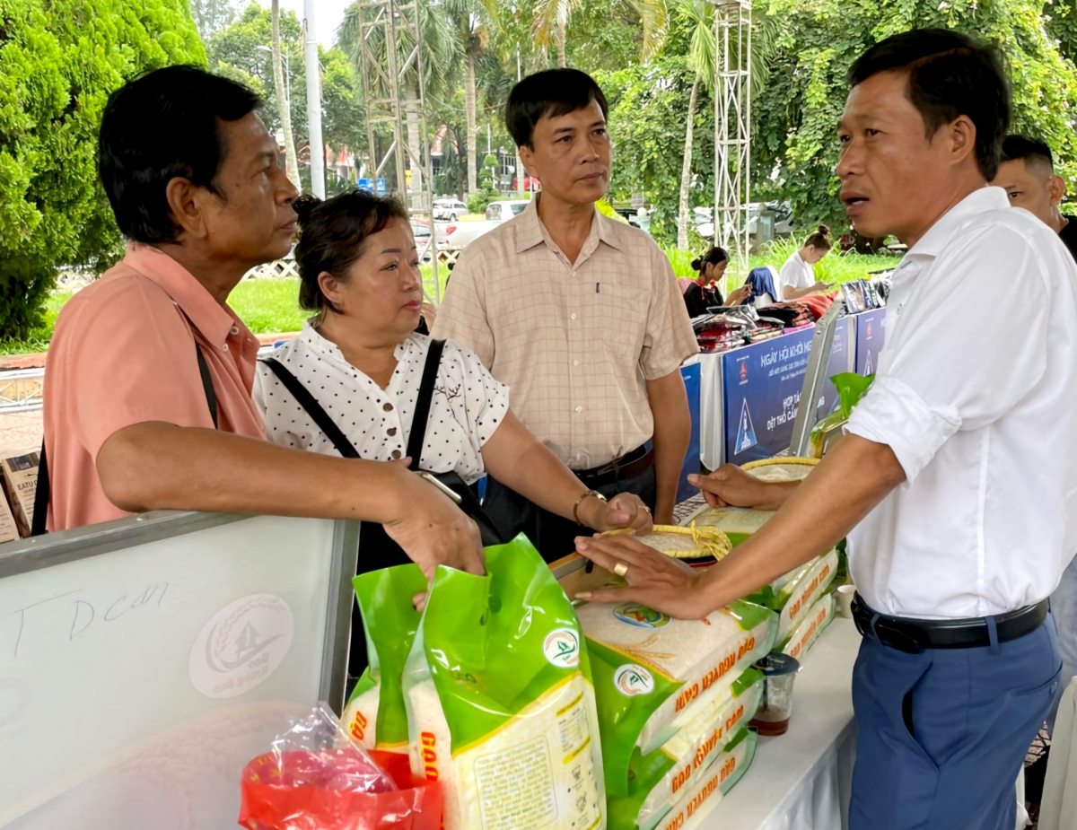 Ơi Nguyễn Văn Tưởng (gah hnuă), Khua anom ngă ƀong hrŏm bơwih bơwăng bruă hmua Nhật Minh lăi pơthâo braih Krông Ana kơ ƀing tuai nao ep lăng