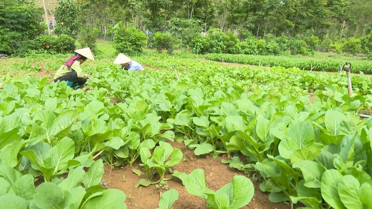 Làng bol lơh broă sa Sơn La tac phan lơh gơs bơh suơn sre kơ̆ kơljap kơnờm lơh bal lơh sa