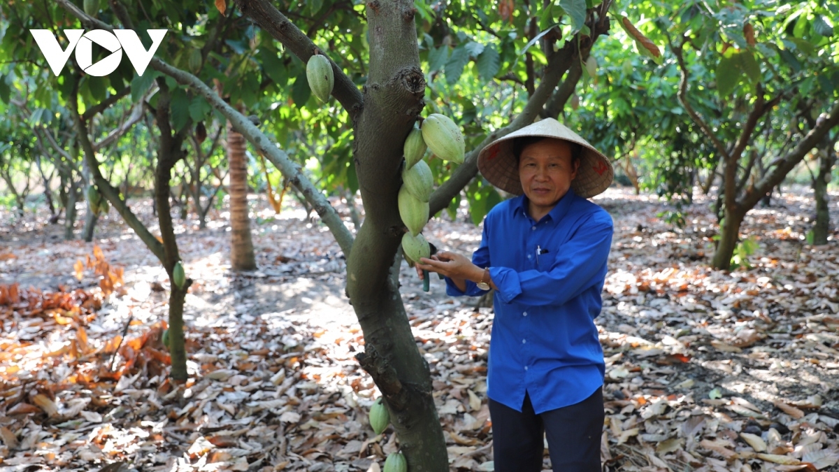 Ong Trương Văn Mỹ