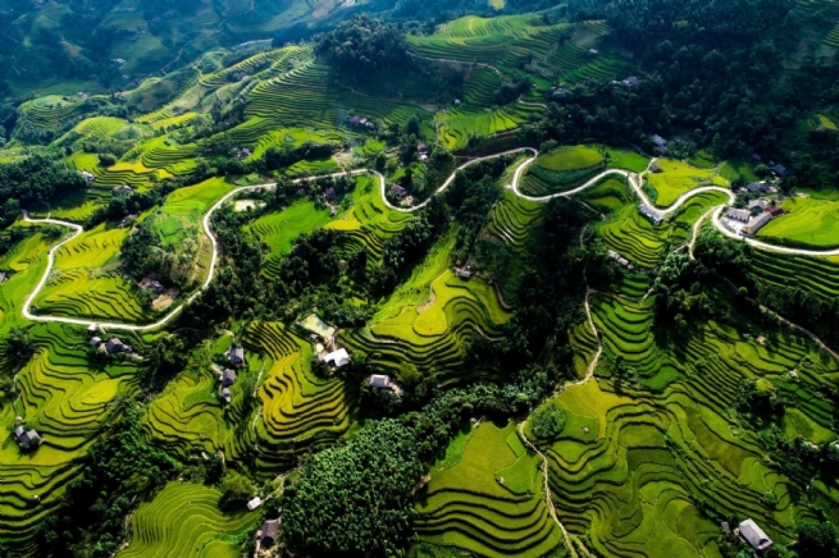 Những cánh ruộng bậc thang ở Hà Giang