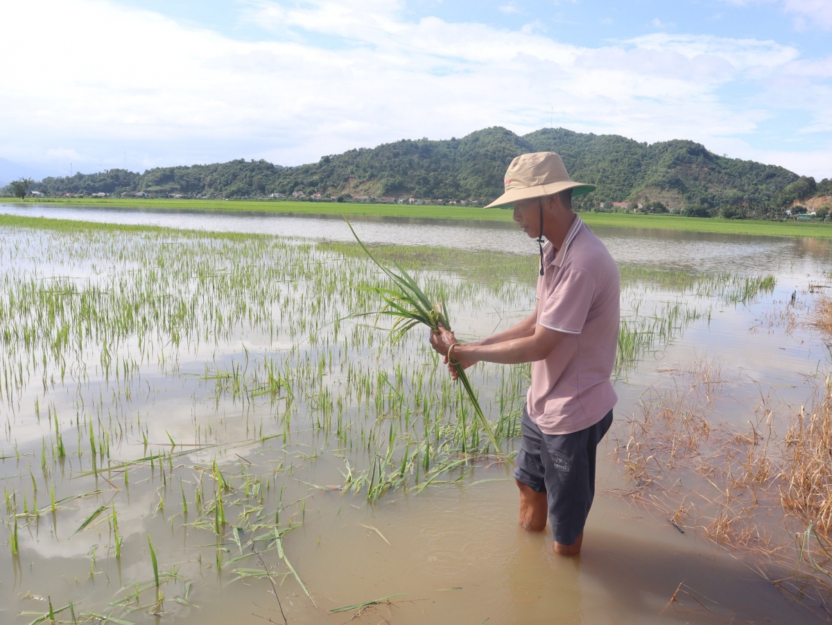 Mơnuih ƀôn sang tơring glông Lak hning rơngŏt lăng pơdai ia dăo