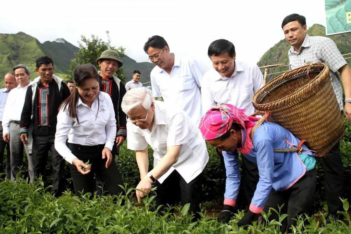 Tại đây, Tổng Bí thư đã trực tiếp tham gia hái chè cùng bà con, động viên bà con tích cực lao động sản xuất.