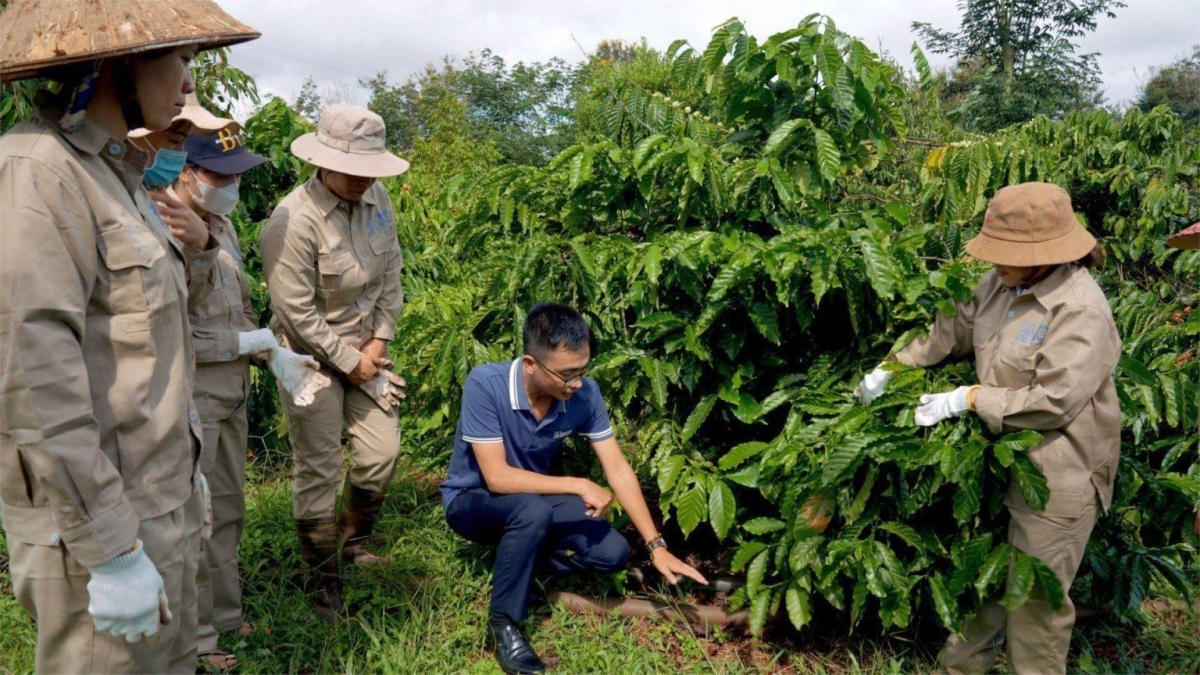 Đắk  Lắk  hơtŏk tơdrong pơgơ̆r ming dơ̆ng tơdrong choh jang xa vă huei pơm glăi hăm dôm tơdrong hơgăt EUDR