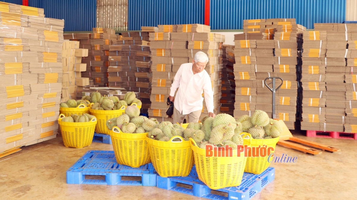 Durian hadei di paik baoh hu tame paok tani tanat piah pablei tapa Trung Quốc.