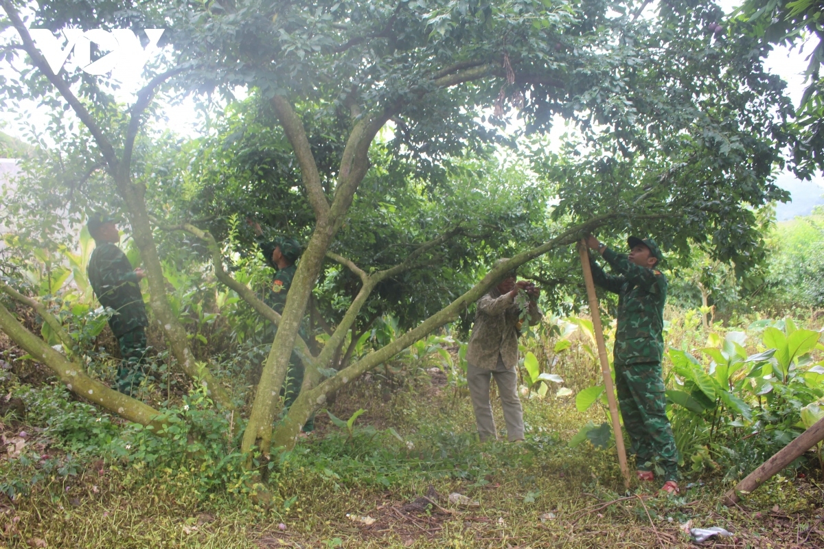 Nhiều mô hình phát triển kinh tế gia đình được cán bộ, đảng viên biên phòng hỗ trợ cho bà con