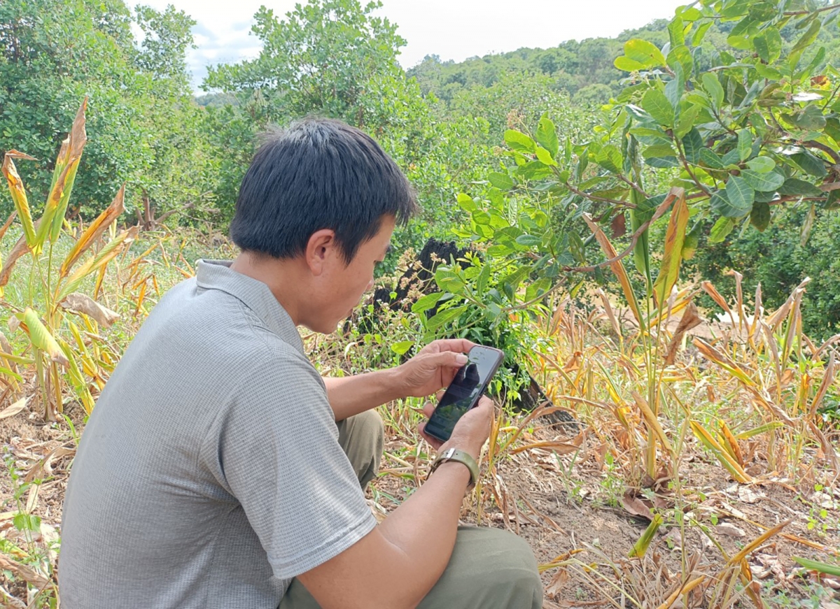 Kuăn pơlê pêi chiâk kơpong tơkăng kong tơring Ia H’Drai, kong pơlê Kon Tum xúa phôn râng kŏng ki rơkê xúa măng pơlê pơla tăng tíu tê tơmeăm bro ing klô̆ng trĭng