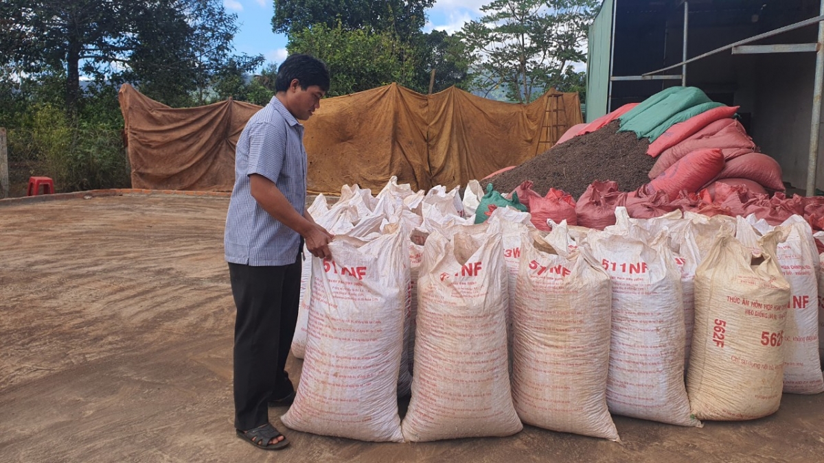 Nhiều hộ vươn lên thoát nghèo, trở nên khá giả