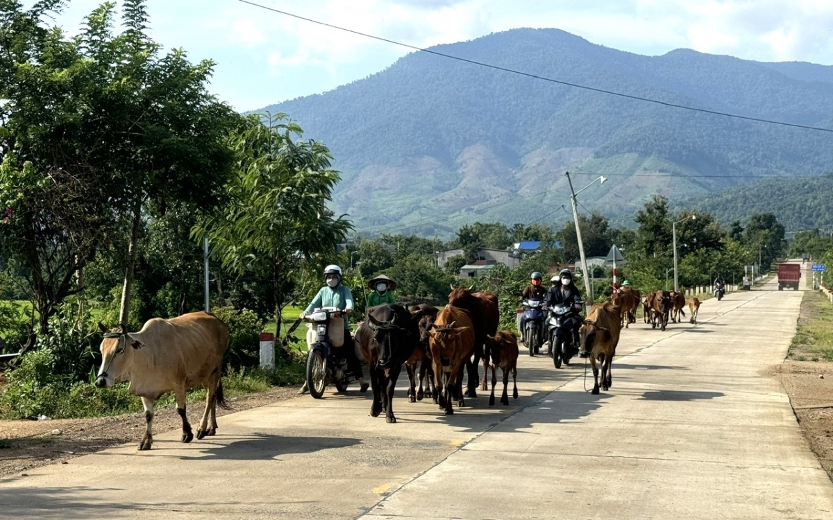 Rông rơmô ba glăi prăk pơhrui lu kơ hơdôm boh sang anŏ