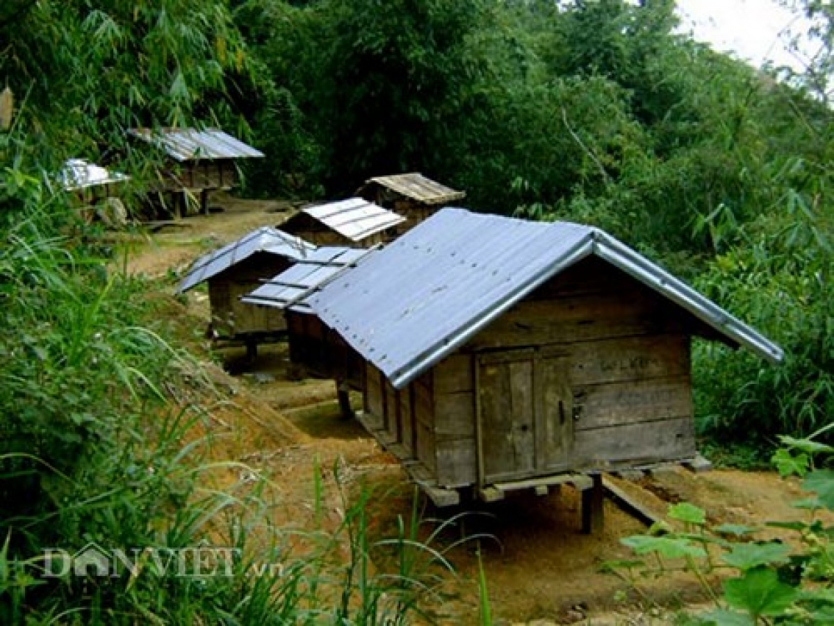 Kho thóc dự trữ của đồng bào Xơ Đăng- Ảnh Báo Dân Việt