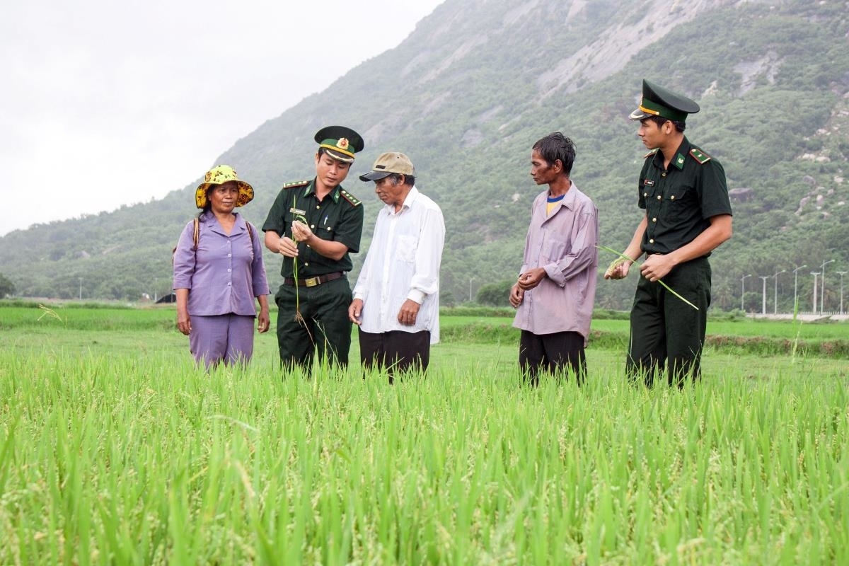 Mblang hamu di xã An Hải, huyện Ninh Phước, tỉnh Ninh Thuận