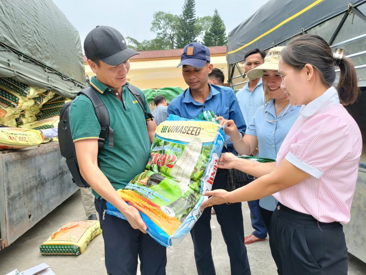 Hạt giống được chuyển đến bà con nông dân huyện Trấn Yên - địa phương thiệt hại rất lớn về nông nghiệp ở Yên Bái