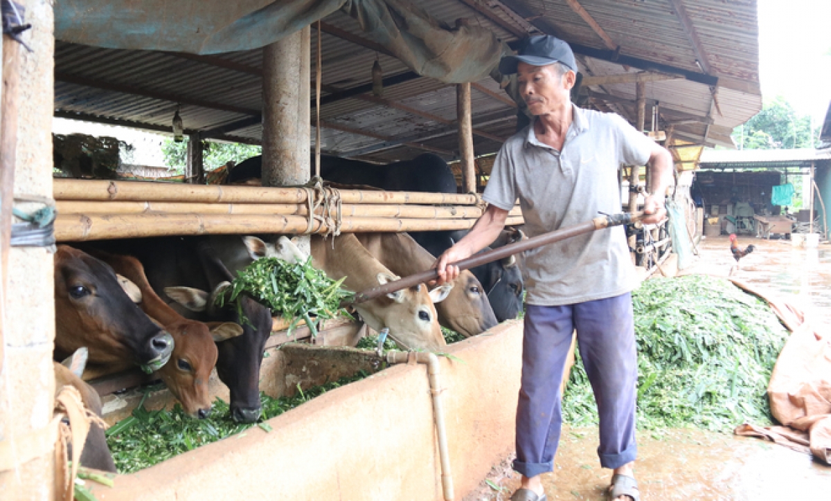 Pôa Y Thêm  tăng mâu mơdrăn chĕm ăm ro dêi rơpŏng hngêi rê nhâ drêng nhâ a tơbăng ôh pá ai xếo