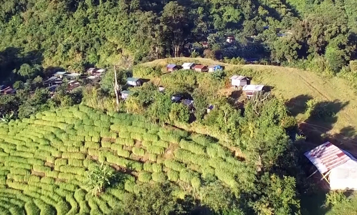 Agribank ưu tiên cho vay nông nghiệp, nông thôn, nông dân