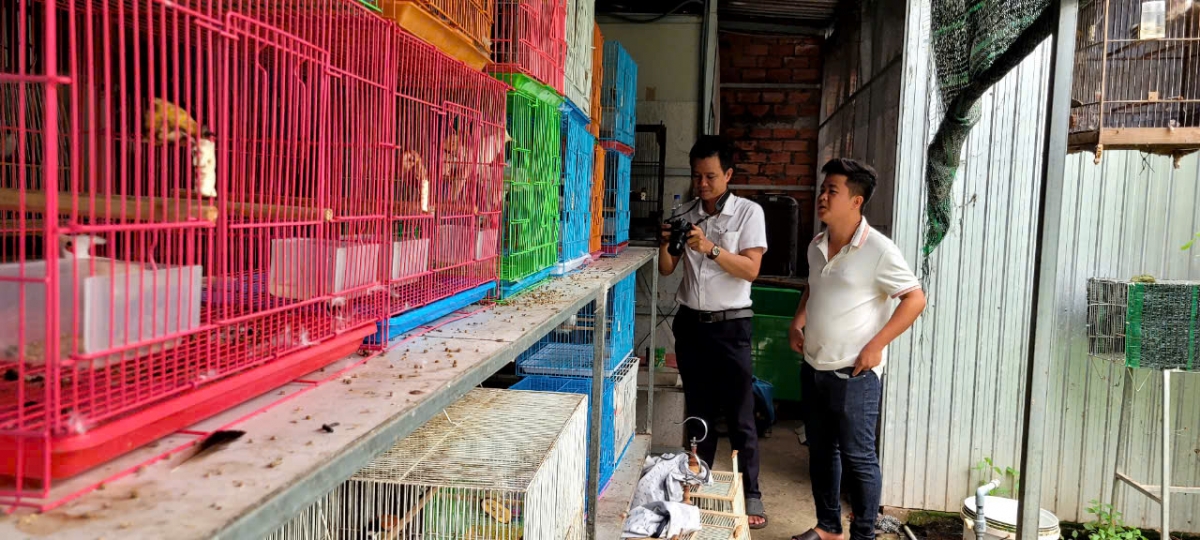 Anh Trần Hữu Vinh đã gần 5 năm gắn bó với con chim chào mào và trở thành chủ trang trại chăn nuôi lớn ở Miền Tây