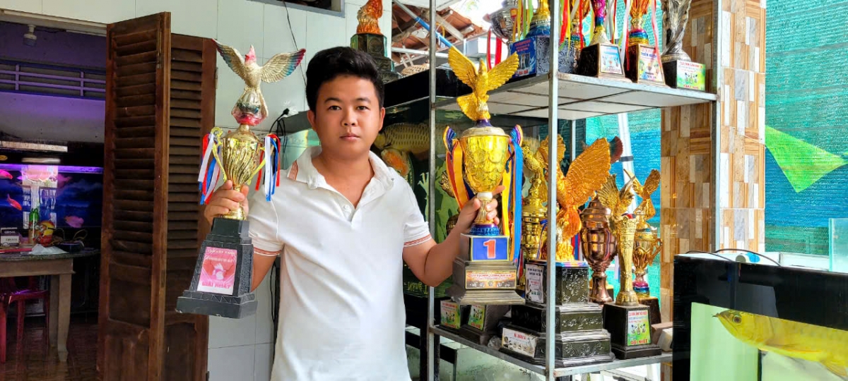 Hàng chục giải thưởng tại các cuộc thi đấu chim chào mào của anh Trần Hữu Vinh