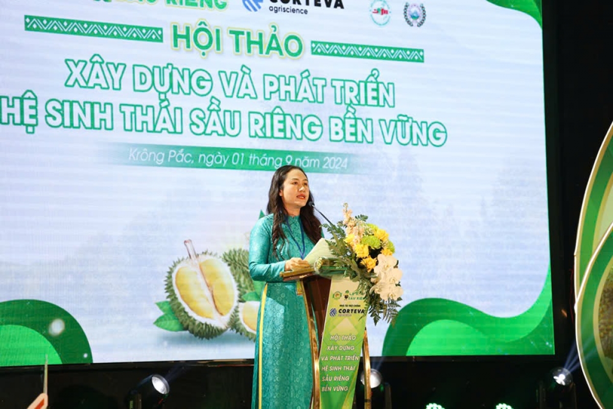 Yă Ngô Thị Minh Trinh, Phŏ Kơdră vei lăng kon pơlei apŭng Krông Pach, dêh char Đắk Lắk roi tơƀôh dôm tơdrong tơ̆ anih jang sầu riêng lơ̆m tơring