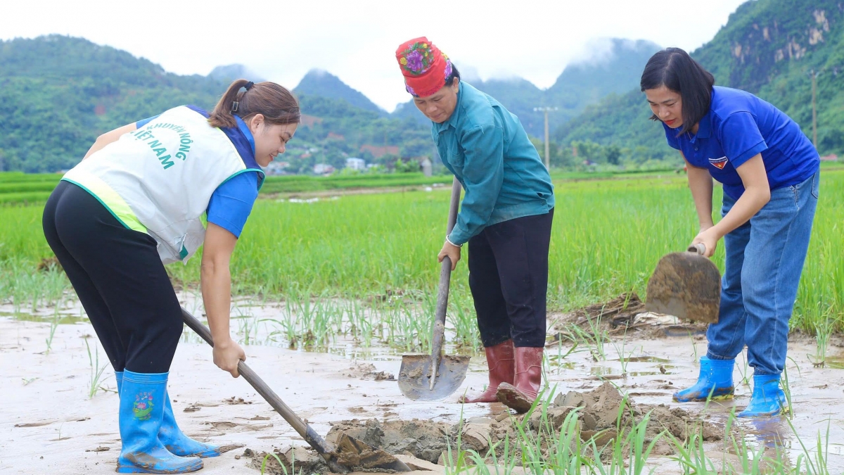 Người dân tập trung khôi phục sản xuất sau mưa lũ.
Ảnh: Lê Hạnh/VOV Tây Bắc