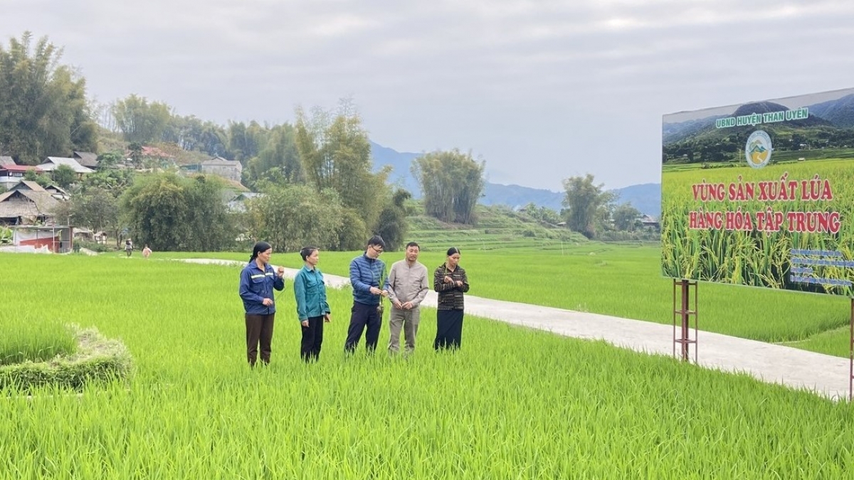 Nhiều vùng sản xuất hàng hóa tập trung được hình thành.
Ảnh: Khắc Kiên/VOV Tây Bắc