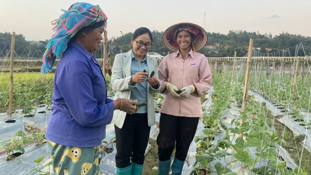 Niềm vui của bà con nông dân xã Hua Nà, huyện Than Uyên
trong chuyển đổi cơ cấu cấy trồng mang lại hiệu quả kinh tế cao.
Ảnh: Khắc Kiên/VOV Tây Bắc