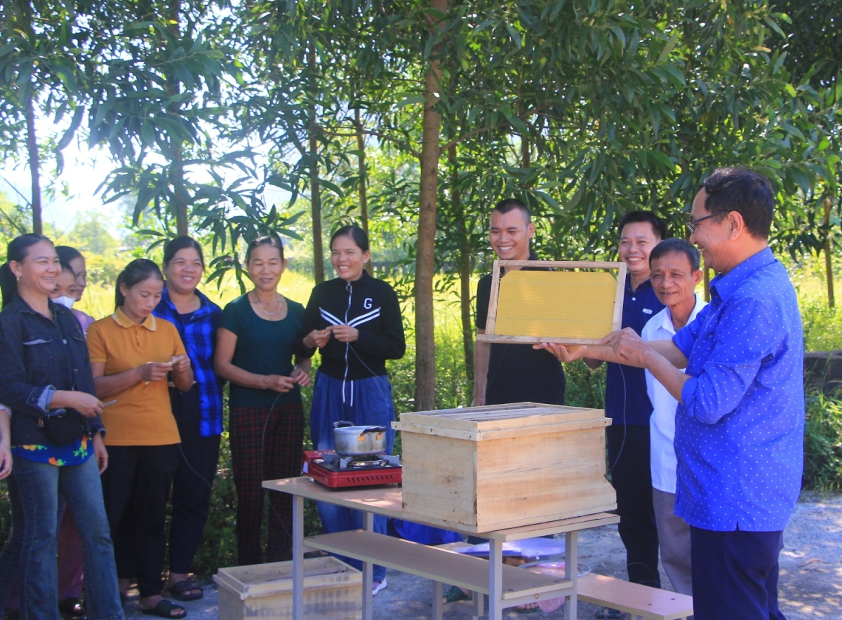 Đào tạo nghề nuôi ong lấy mật cho người dân miền núi và đồng bào dân tộc thiểu số