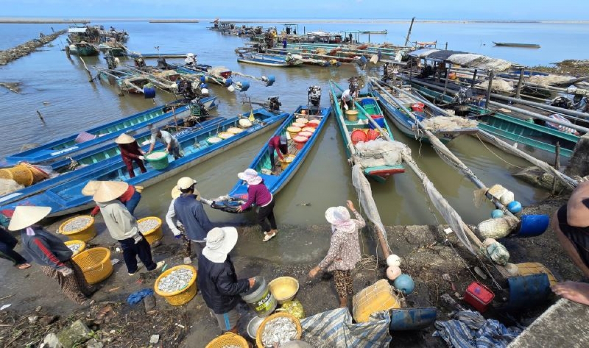 Từ khoảng tháng 4 đến tháng 11 hàng năm, người dân vùng ven biển Tây các huyện Trần Văn Thời, U Minh, Phú Tân của tỉnh Cà Mau tiến hành khai thác ruốc biển.