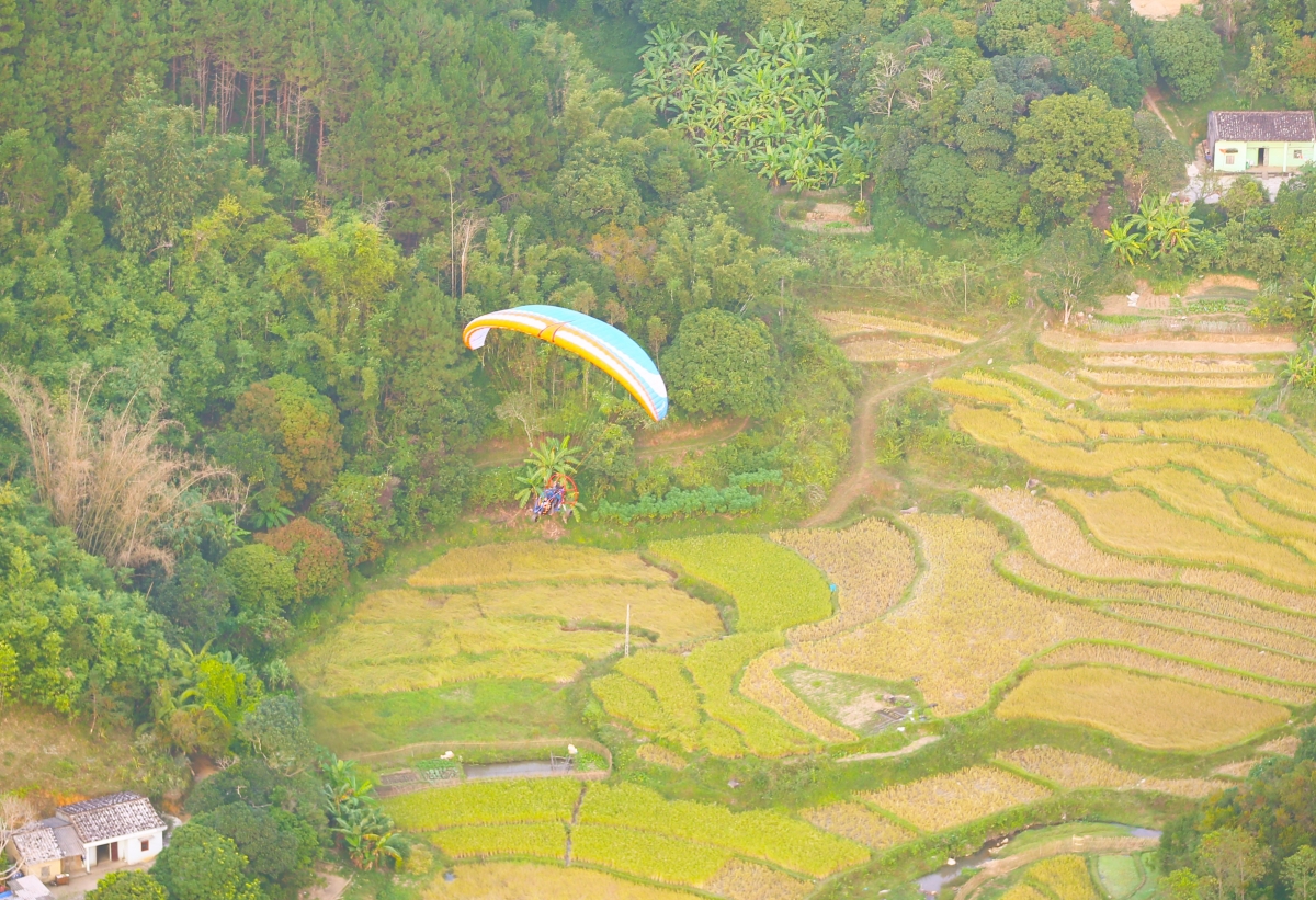 Festival dù lượn "Bay trên mùa vàng"
là một trong những hoạt động thu hút đông đảo du khách
