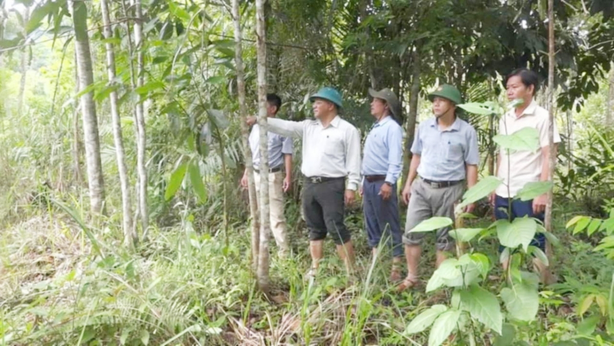 Cán bộ huyện Đông Giang khảo sát khu tái định cư Tu Ngung- A Bung xã A rooi.
