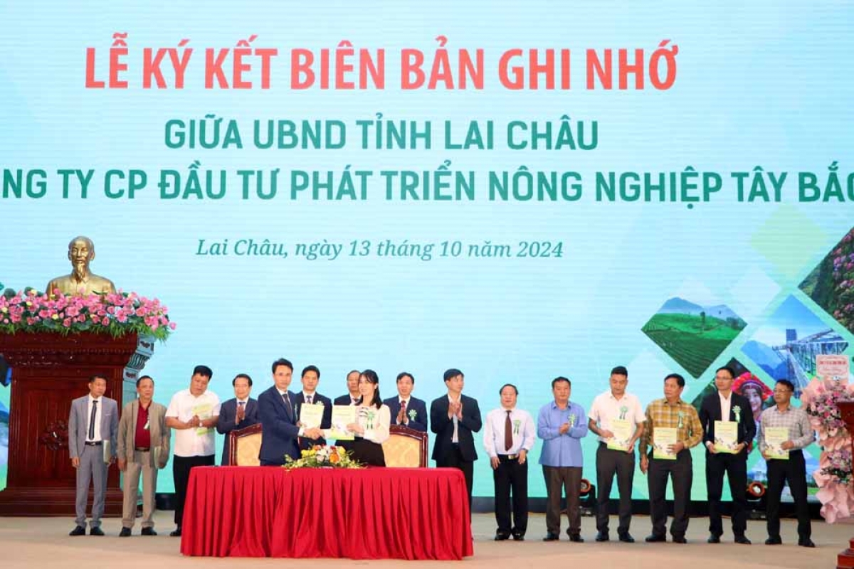 Lãnh đạo UBND tỉnh Lai Châu và nhà đầu tư ký kết biên bản ghi nhớ hợp tác