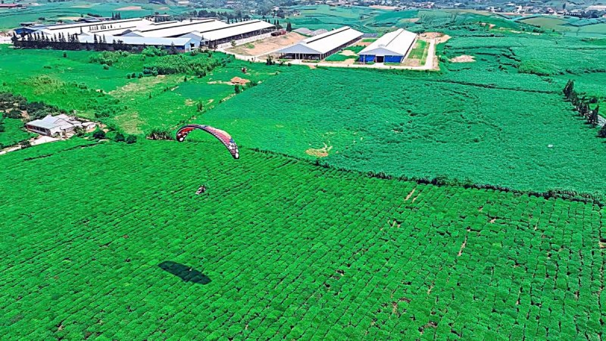 Khu du lịch quốc gia Mộc Châu được vinh danh là Điểm đến thiên nhiên hàng đầu thế giới.